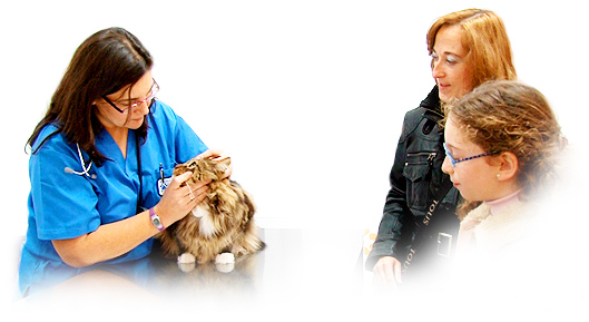 Centro Veterinario en Bormujos. Especialistas en perros y gatos